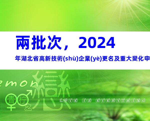 兩批次，2024年湖北省高新技術(shù)企業(yè)更名及重大變化申報(bào)時(shí)間、材料合集